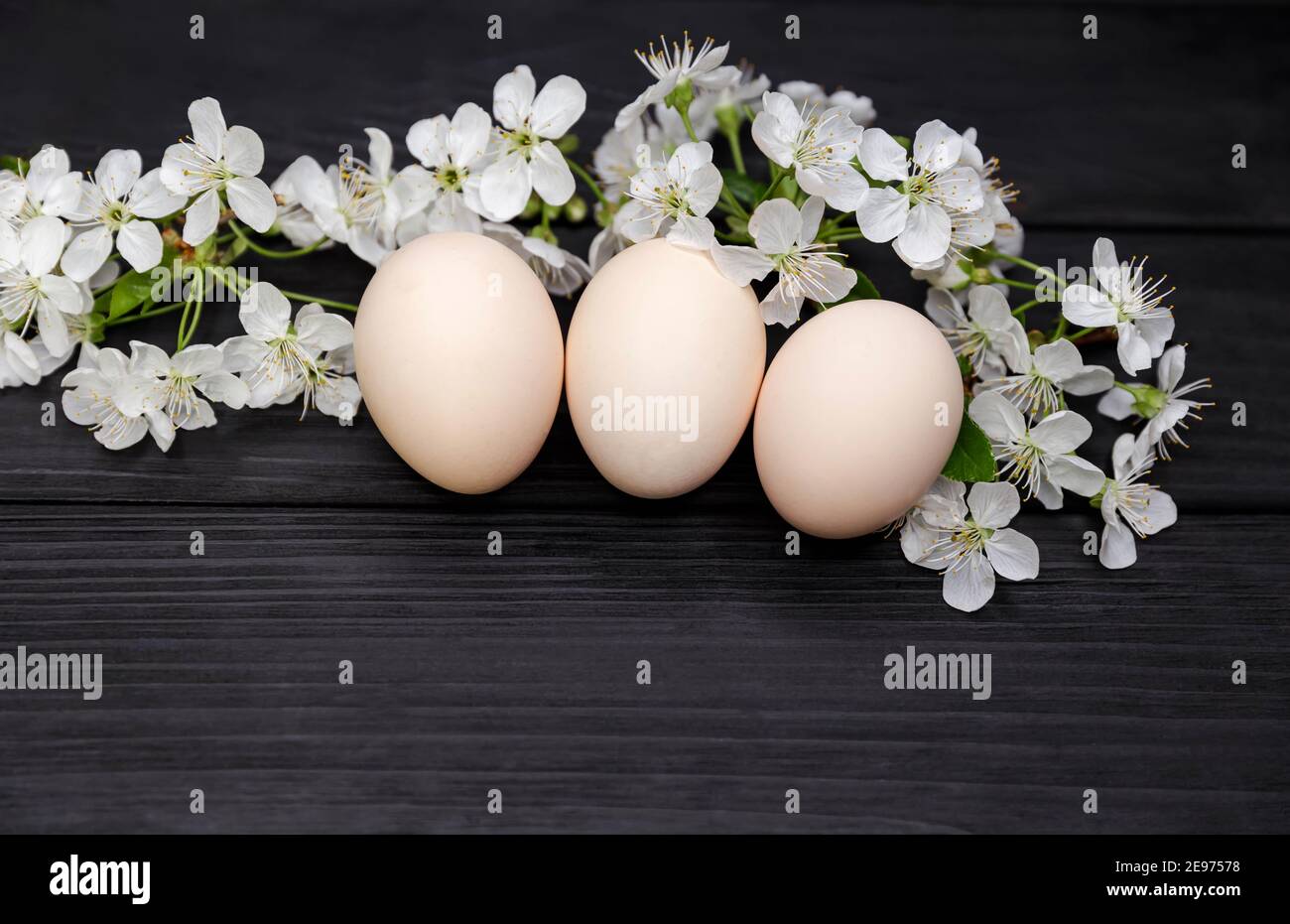 Floral spring decorations. Composition of blooming tree branches. Stock Photo