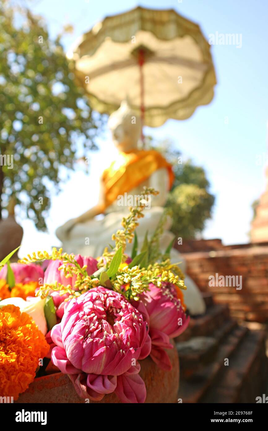 Closeup Many of Lotus and Marigold Flowers for Offering in a Vase with Blurry White Buddha Image in Background, Thailand Stock Photo