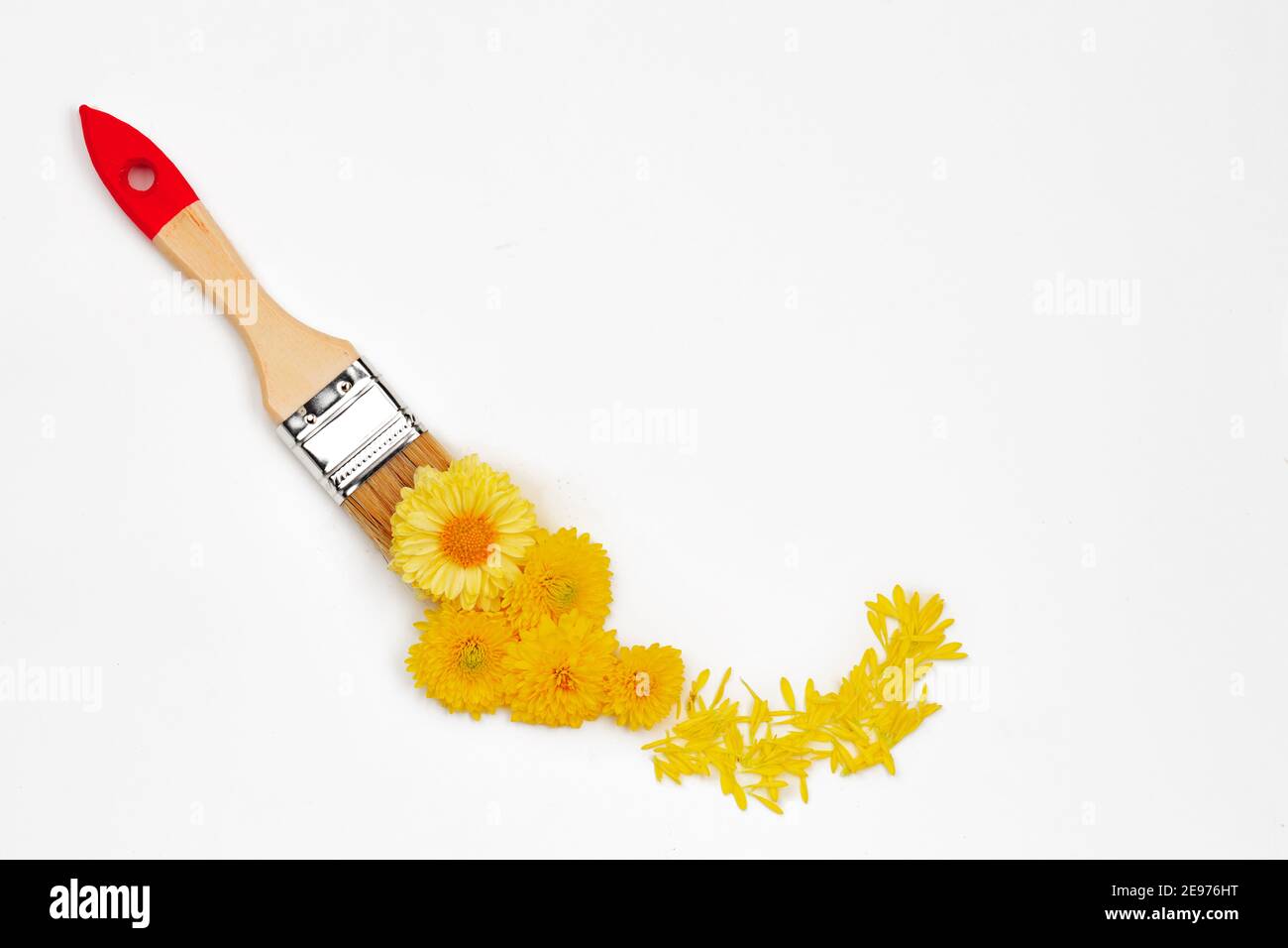 Paint brush and flower buds on white background Stock Photo - Alamy