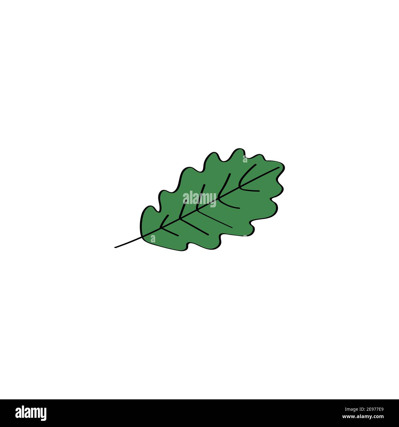 Oak leaf doodle icon. Vector hand drawn illustration Stock Vector