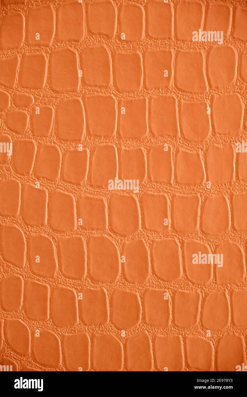 Abstract background of green reptile skin Stock Photo - Alamy
