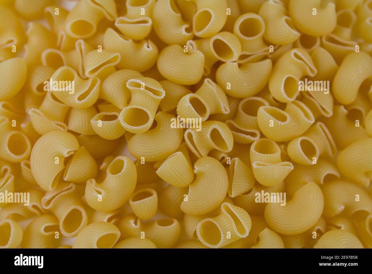 Italian pasta made from flour sprinkled on the table in a large