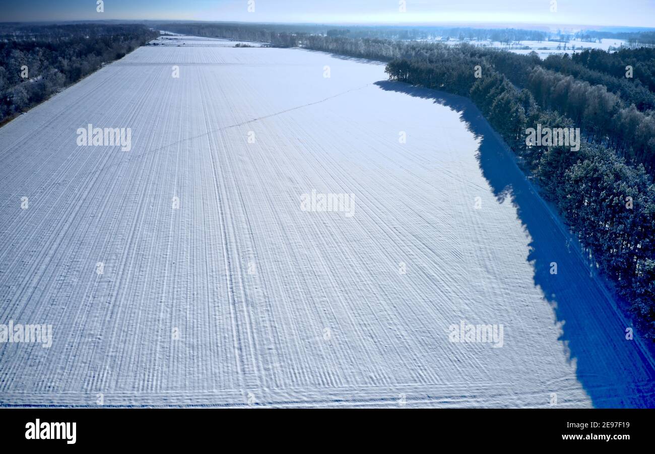 Monotonous view of a white snow covered field without structural features next to a forest strip, aerial photo Stock Photo