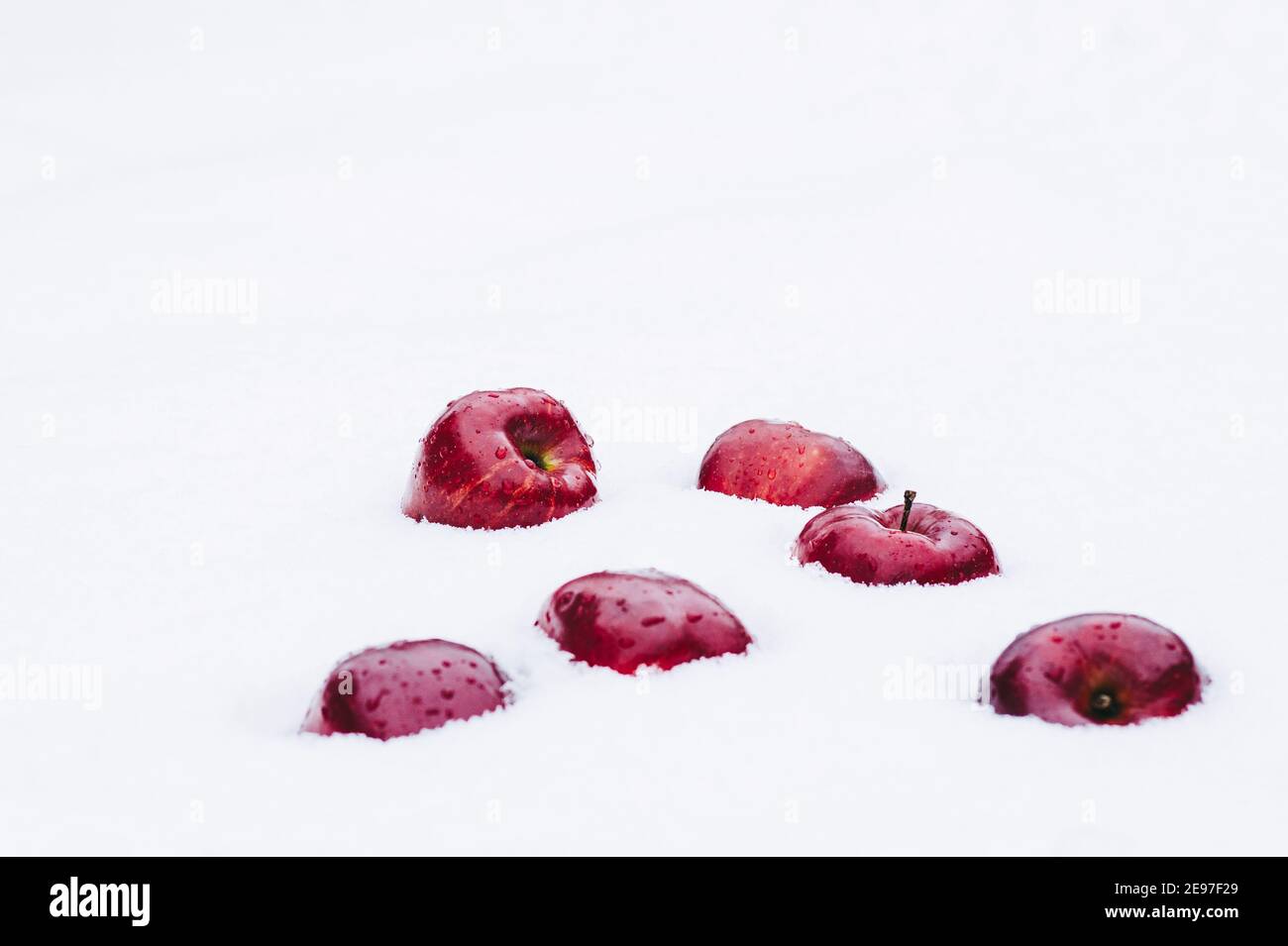 Red apples on the snow. Stock Photo