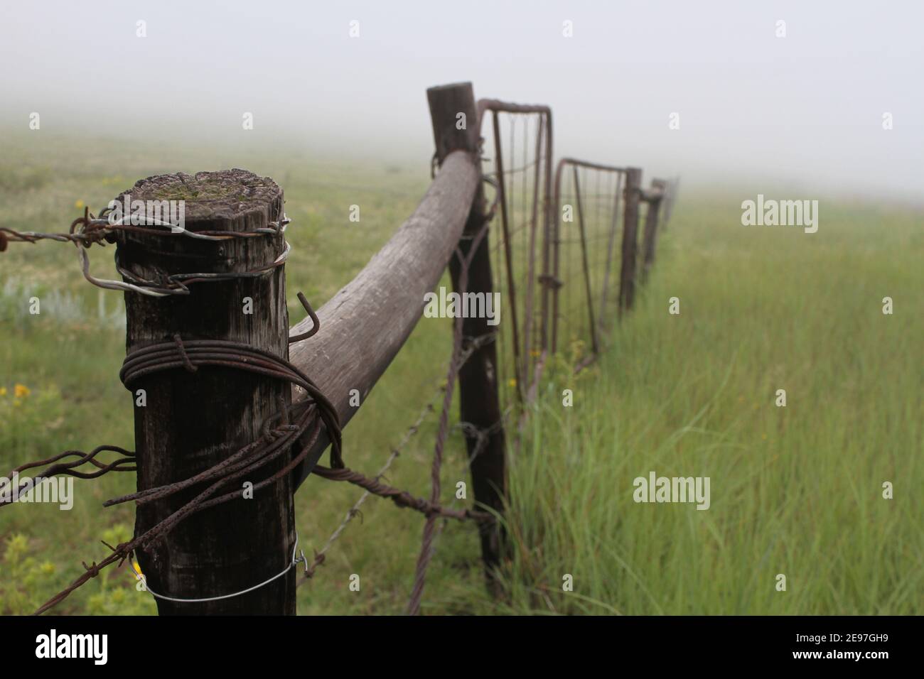 A rustic fence and gate on a farm in the mist. Stock Photo