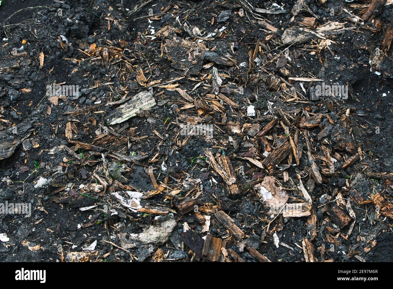 Wood chips in natural soil. How to make wood chips. Tips for gardening