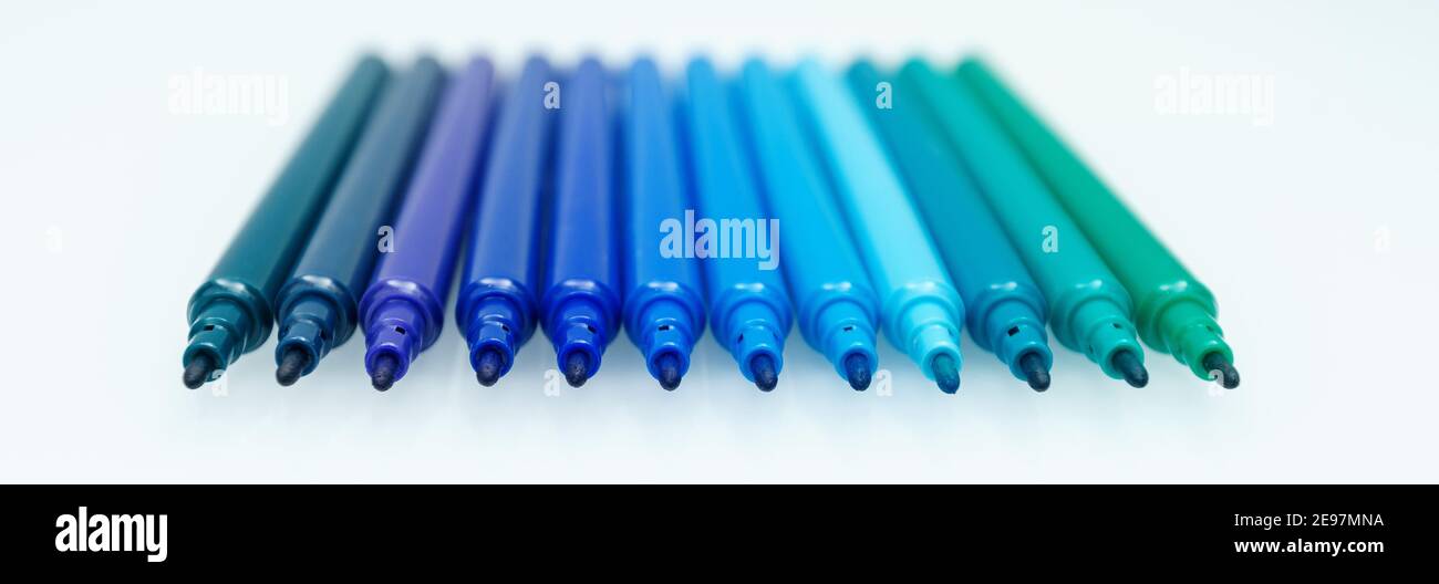 Blue Felt Pen Set