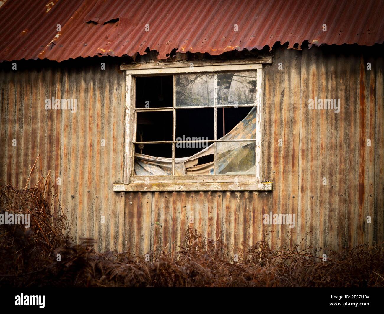 Neglected corrugated metal out building with broken window and rusting structure, giving a creepy feel Stock Photo