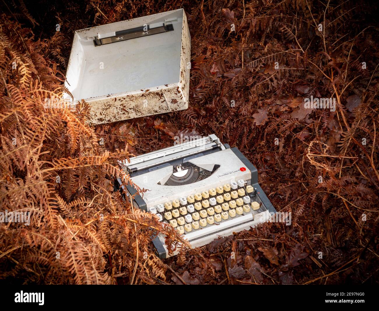 An unwanted portable typewriter dumped in a tangle of autumn bracken Stock Photo
