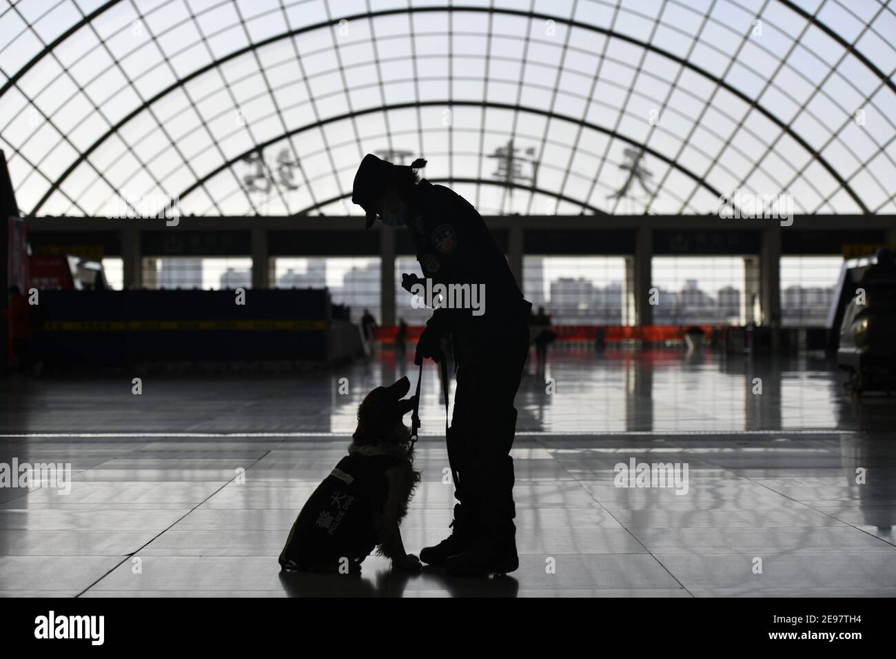 Tianjin, China. 01st Feb, 2021. Trainer Han Chaoyang and police dog 'Zhui Feng' interact with each other at the Tianjin West Railway Station in north China's Tianjin, Feb. 1, 2021. 'Fen Di', a German Dutch hybrid dog and also a guard dog at the Tianjin branch of the Beijing railway public security bureau, has been working and living with its trainer Zhao Hui for three years. There are now a dozen of dogs like 'Fen Di' here, who act as guards in the routine patrol and good partners in the training. Credit: Xinhua/Alamy Live News Stock Photo