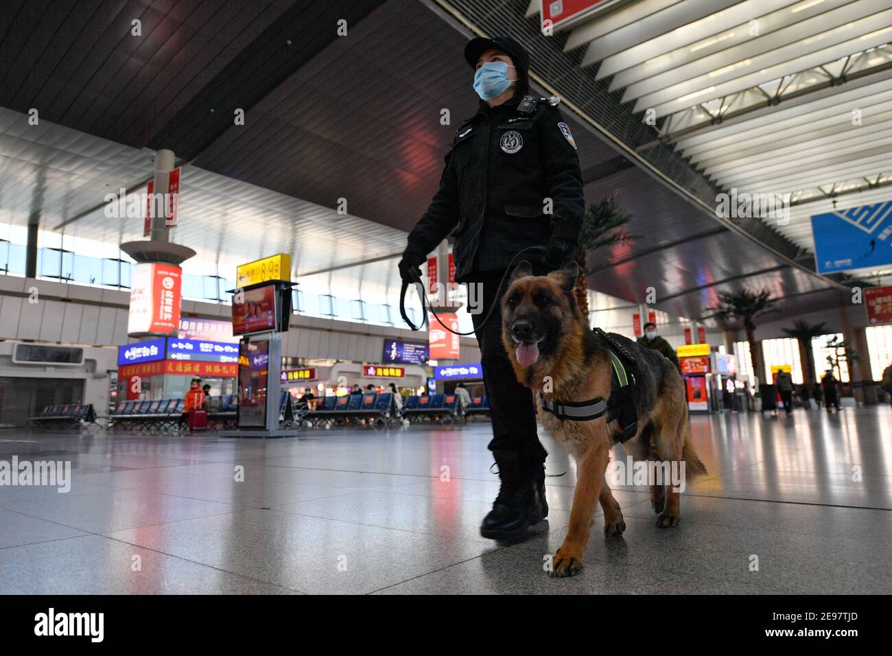 Tianjin, China. 01st Feb, 2021. Trainer Wang Ji and police dog 'Cha Cha' patrol at the waiting hall of the Tianjin Railway Station in north China's Tianjin, Feb. 1, 2021. 'Fen Di', a German Dutch hybrid dog and also a guard dog at the Tianjin branch of the Beijing railway public security bureau, has been working and living with its trainer Zhao Hui for three years. There are now a dozen of dogs like 'Fen Di' here, who act as guards in the routine patrol and good partners in the training. Credit: Xinhua/Alamy Live News Stock Photo
