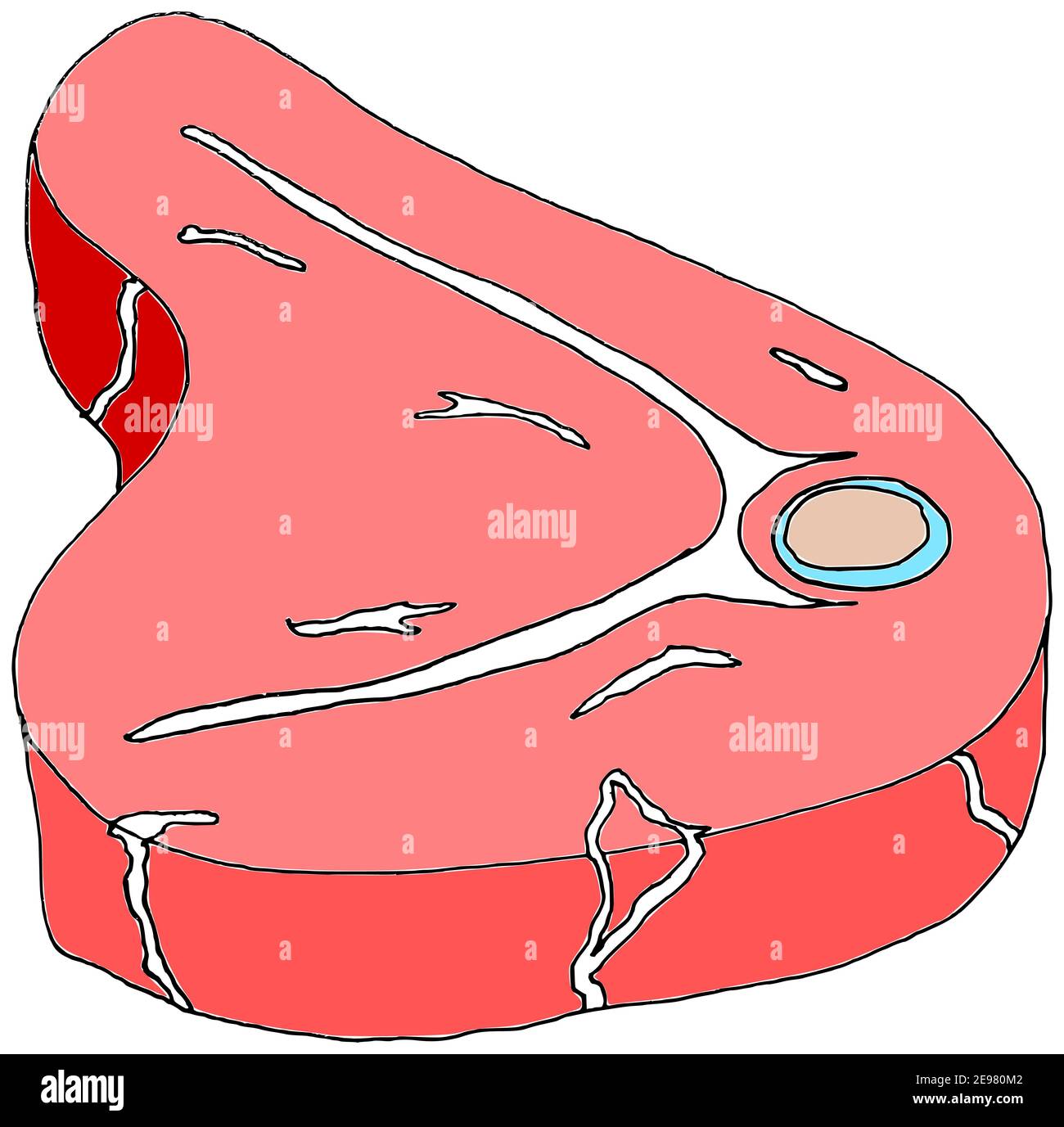 Vector of free hand drawing of beef steak colored Stock Photo