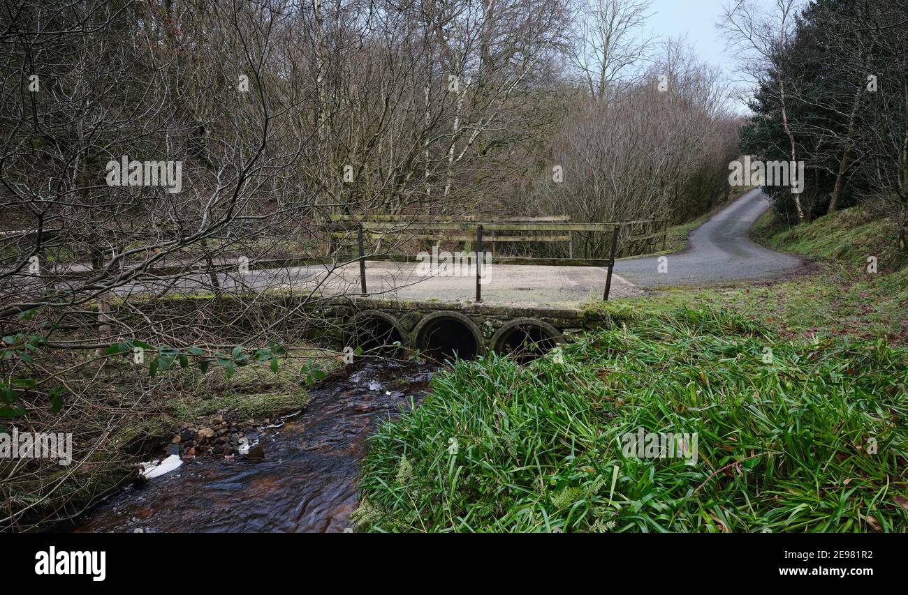 Modified and modernised old ford crossing on the track in a Dales woodland Stock Photo