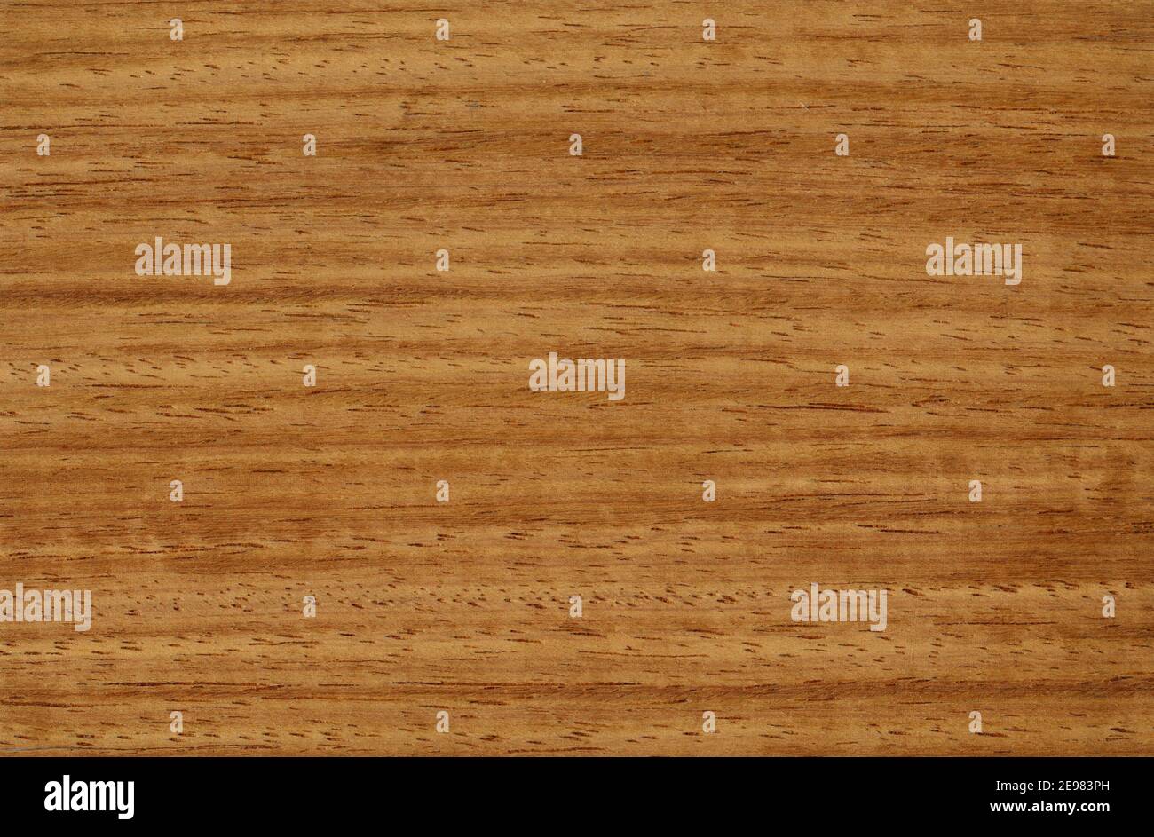 Natural Burma teak wood veneer surface for interior and exterior manufacturers use. Stock Photo