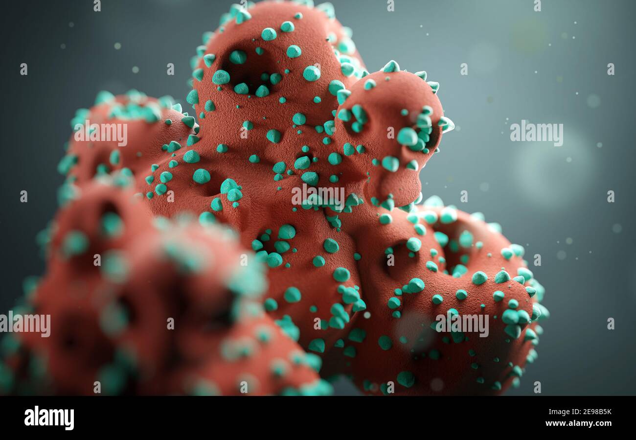 Coronavirus COVID-19 infecting living cels within the human body. Once the cells are infected the virus will use them to produce more copies of the vi Stock Photo