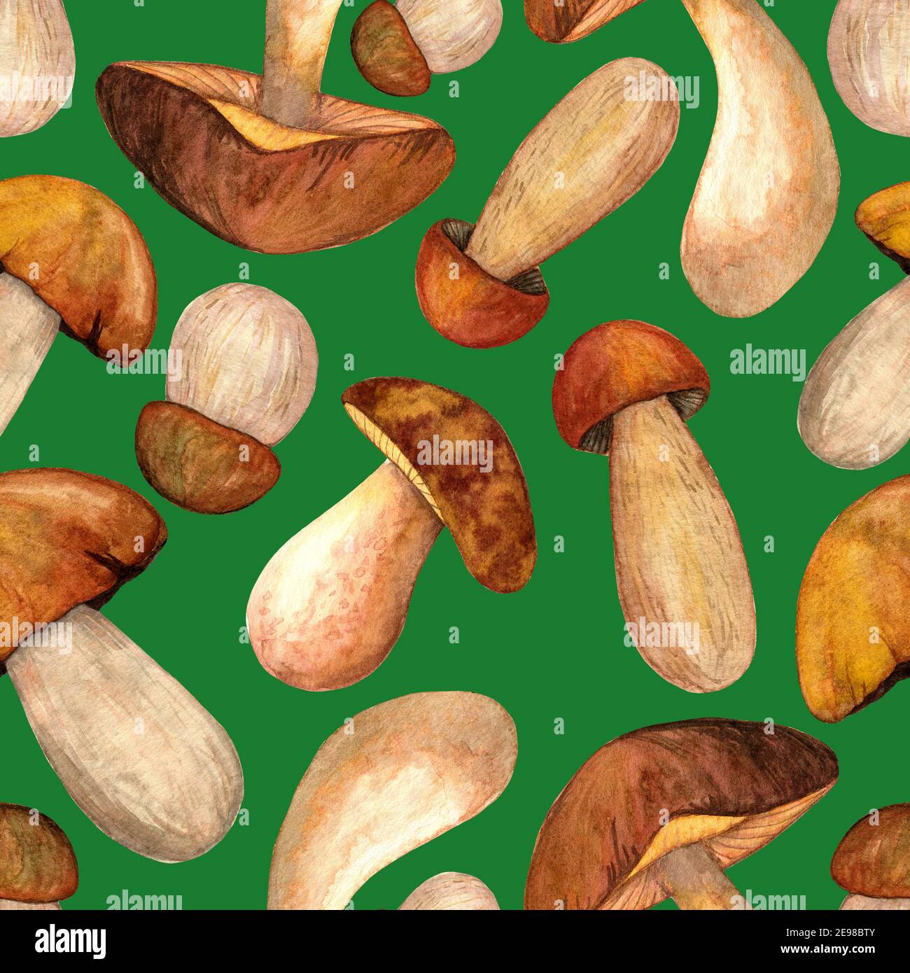 Watercolor boletus mushroom seamless pattern Stock Photo