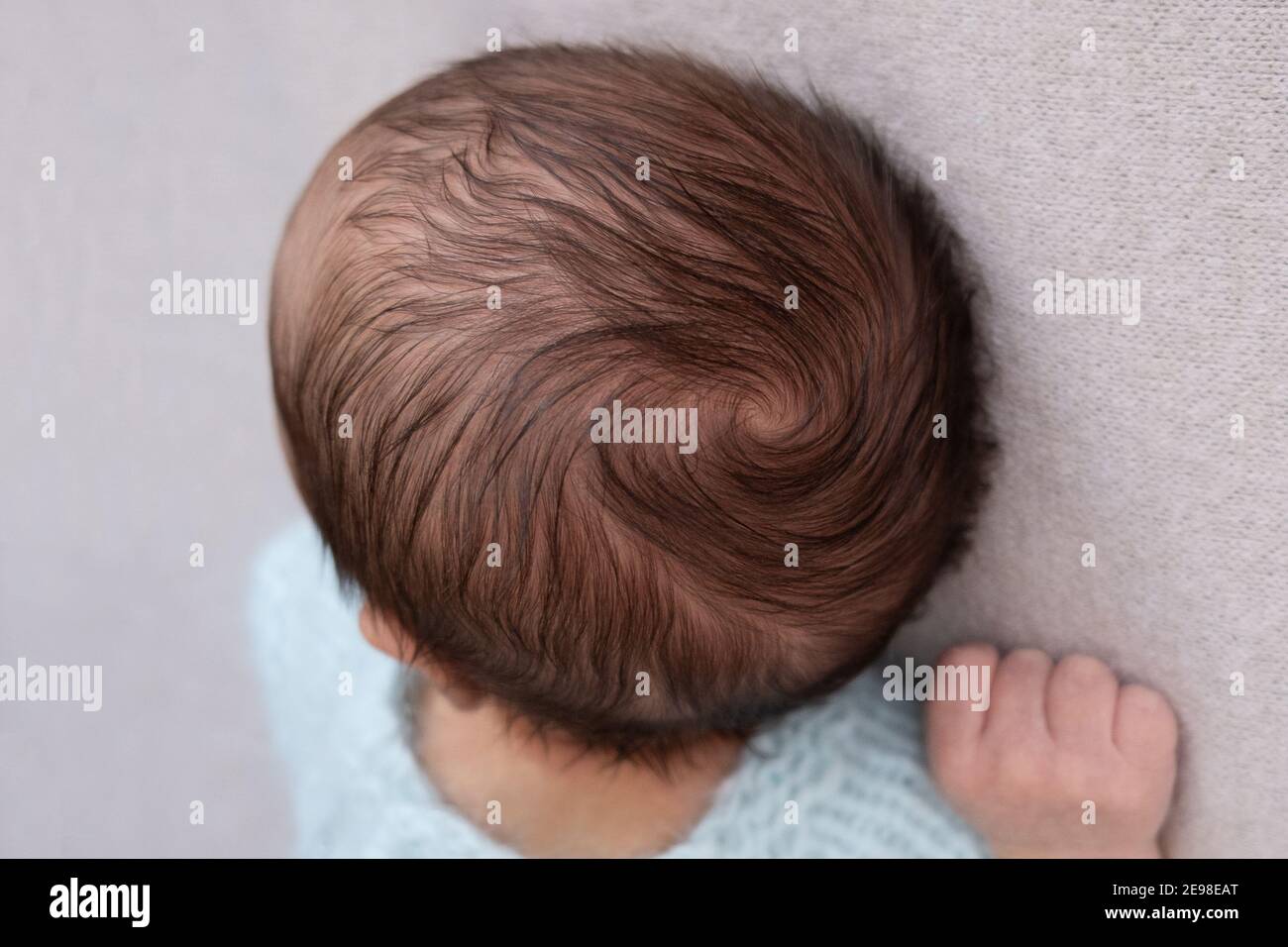 Baby crown. head of the newborn baby first hear, macro shot. newborn hair  Stock Photo - Alamy