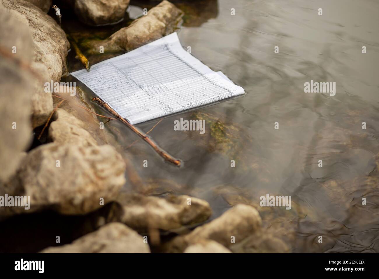 Close-up of one piece of sheet music floating on water at the shore. Stock Photo