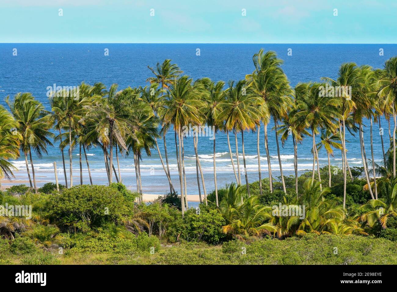 Sunny beach day palm trees hi-res stock photography and images - Alamy