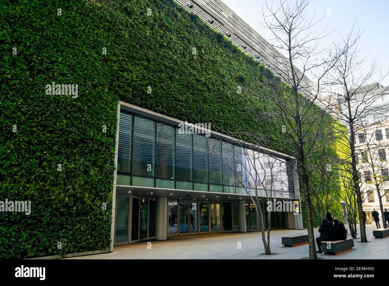 Wall fern gardening hi-res stock photography and images - Alamy