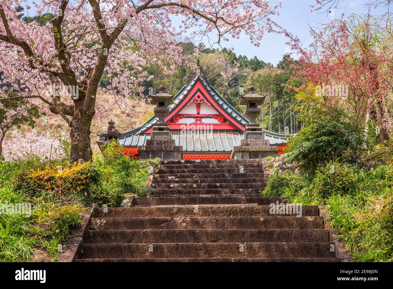 Kotokuji Temple, Shizuoka, Japan in spring. Stock Photo
