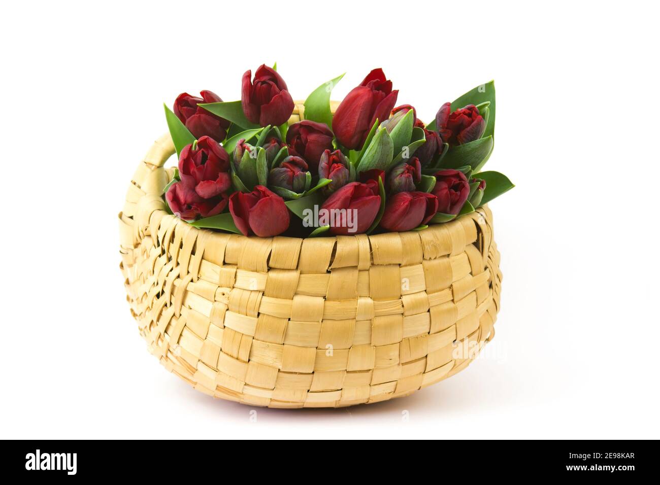 red tulips in a basket on white background Stock Photo - Alamy