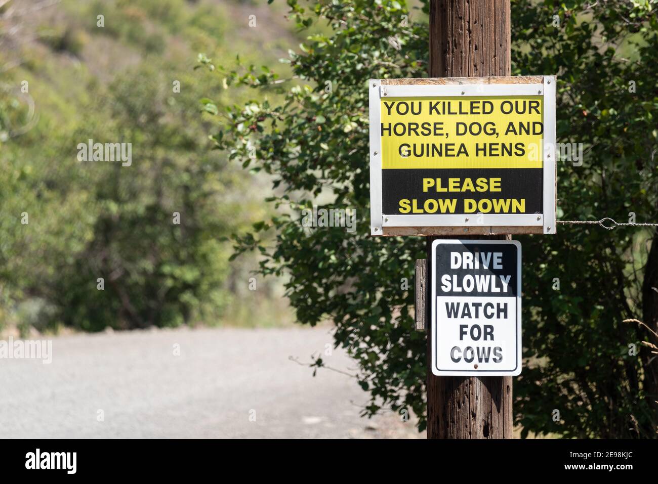 Sign on the Troy Road in Wallowa County, Oregon. Stock Photo