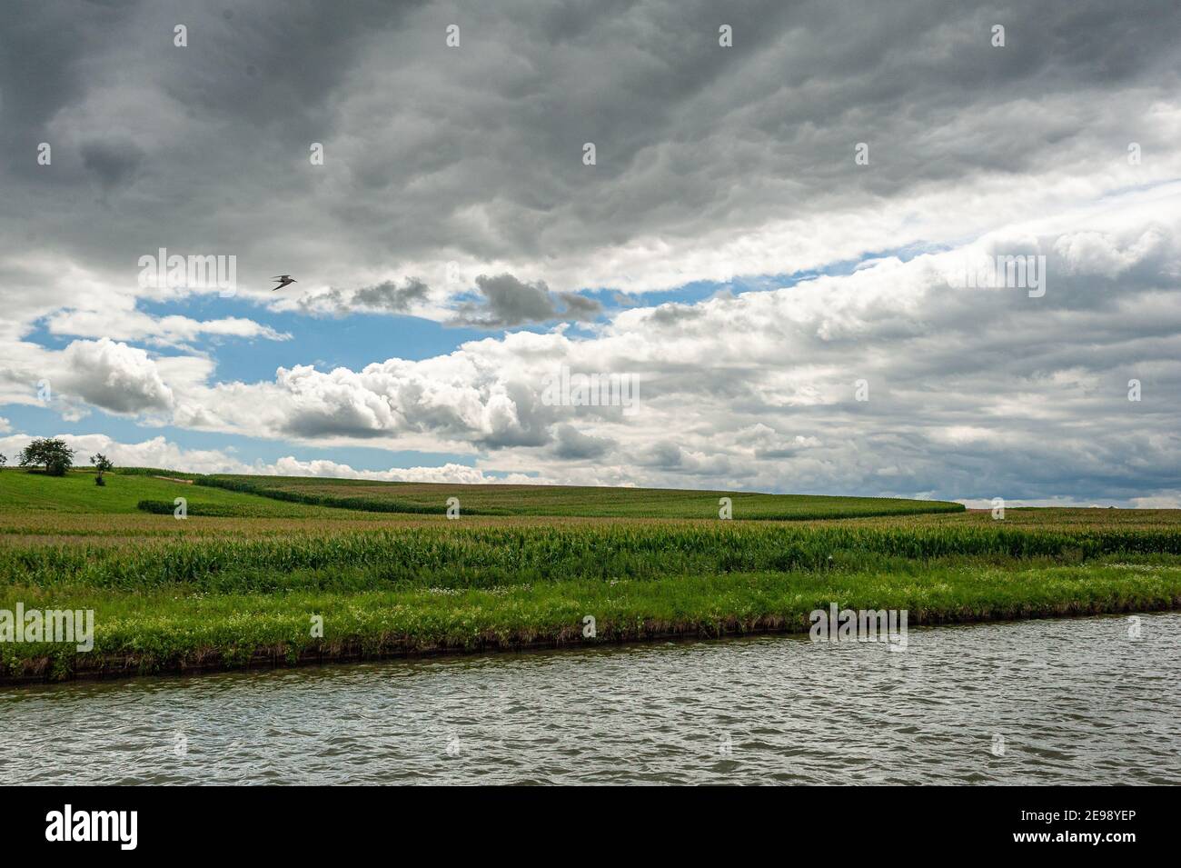 Cloudy sky over the canal in northeastern France. - A heavy cloud obscures the sky above the canal. A bird crosses the sky above the green fields. Stock Photo