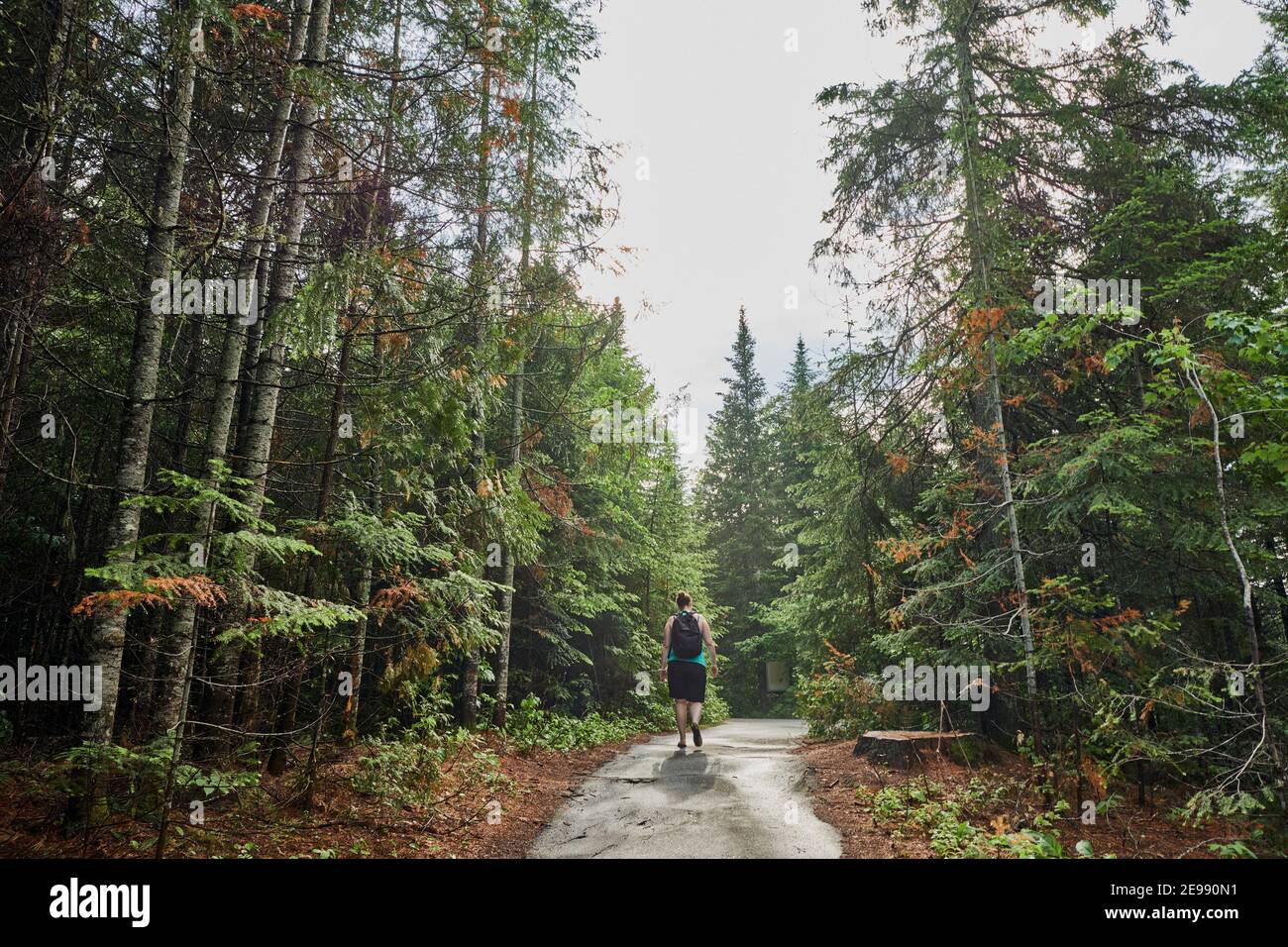 Female Hiker on path in Mauricie National park, Shawinigan, Quebec, Canada Stock Photo