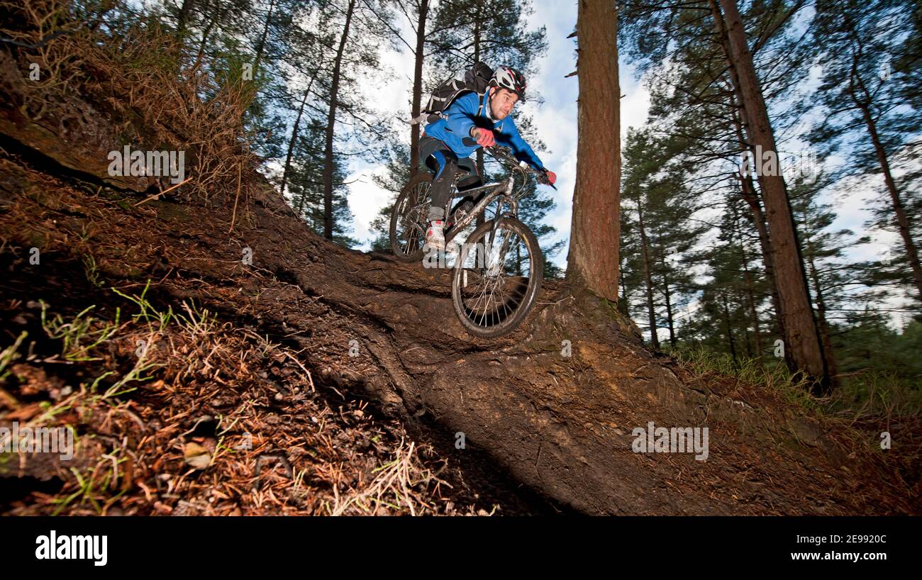 man on mountainbike riding in the hills of Surrey / England Stock Photo