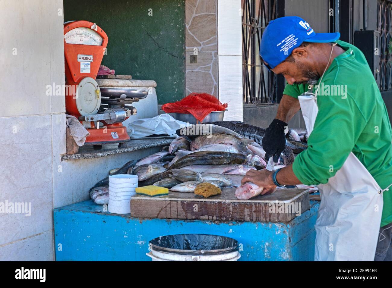 Fishmonger cleaning fish at market in the port / harbour of the city