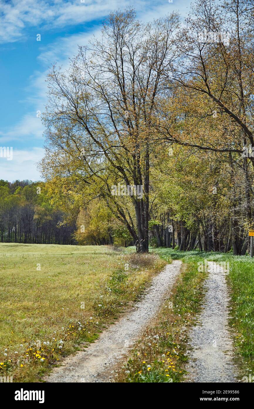 Serene scene with trees in fall colors and a dirt road Stock Photo