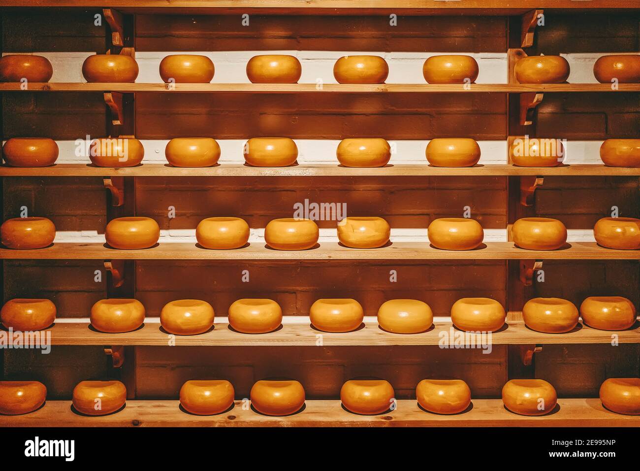 Rows of cheeses on the wooden shelves, show Arrangement in a specialty cheese shop Stock Photo