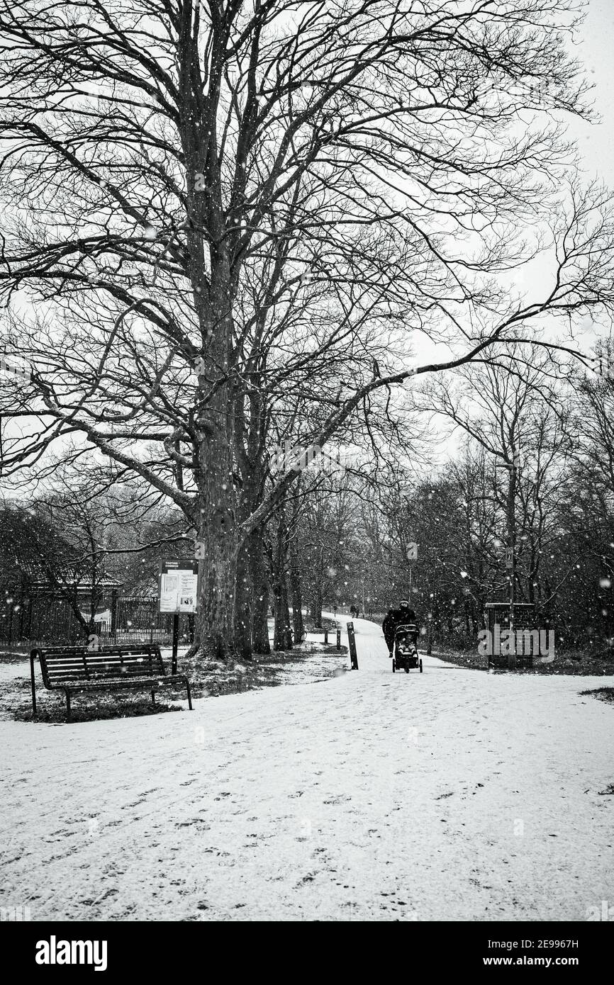 Snow day at the park Stock Photo