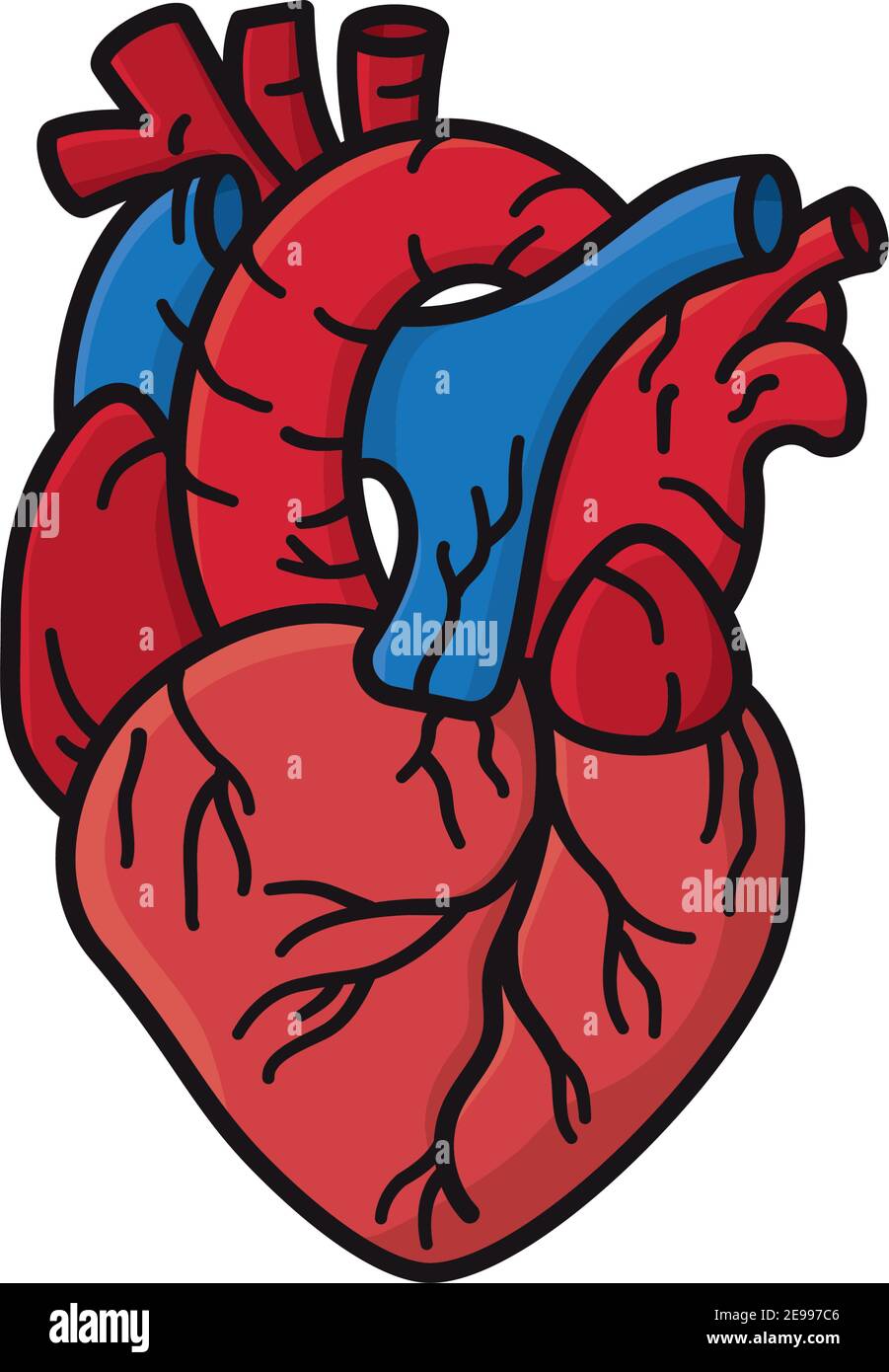 Human heart isolated vector illustration for Heart Day on September 29 Stock Vector