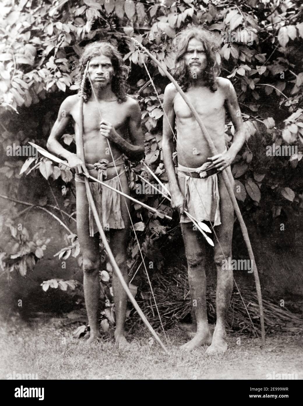 Late 19th century photograph - Veddah men, Veddahs, with bows and ...