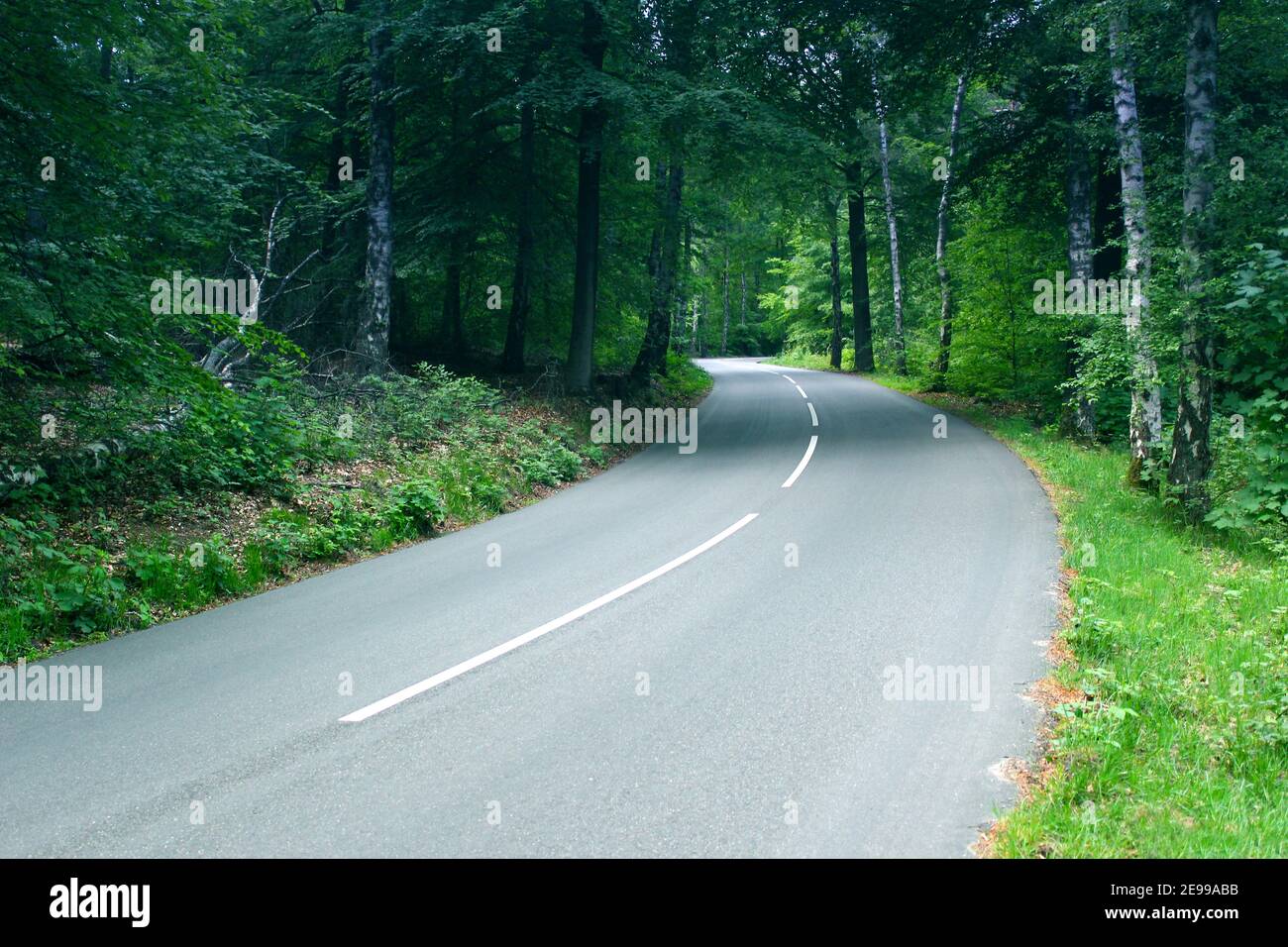 The winding road named 'Beekhuizenseweg' in the Dutch forest 'Veluwe' near the city Arnhem, The Netherlands. Stock Photo