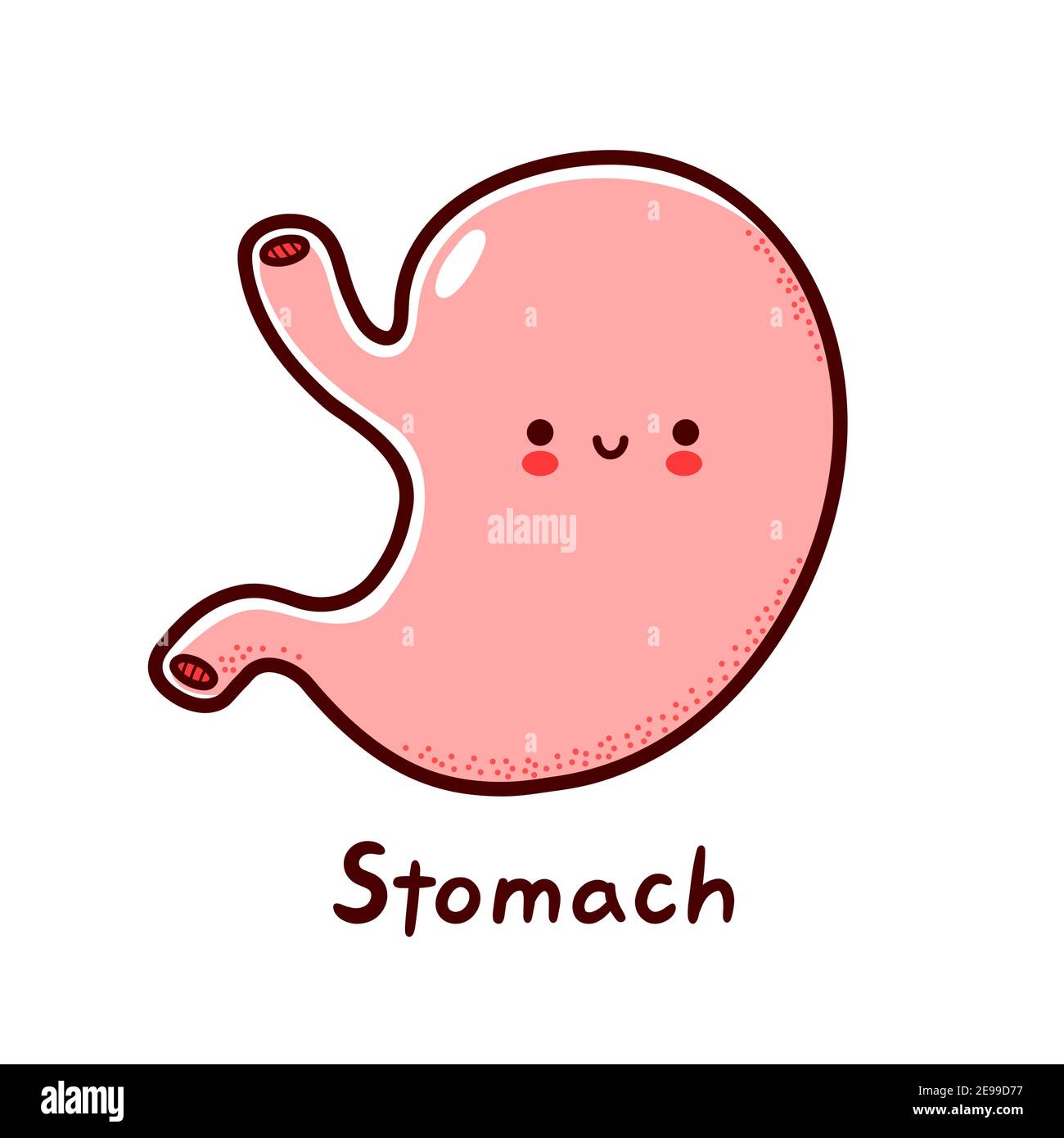 Cute happy funny human stomach organ character. Vector flat line cartoon kawaii character illustration icon. Isolated on white background. Stomach with face character mascot concept Stock Vector