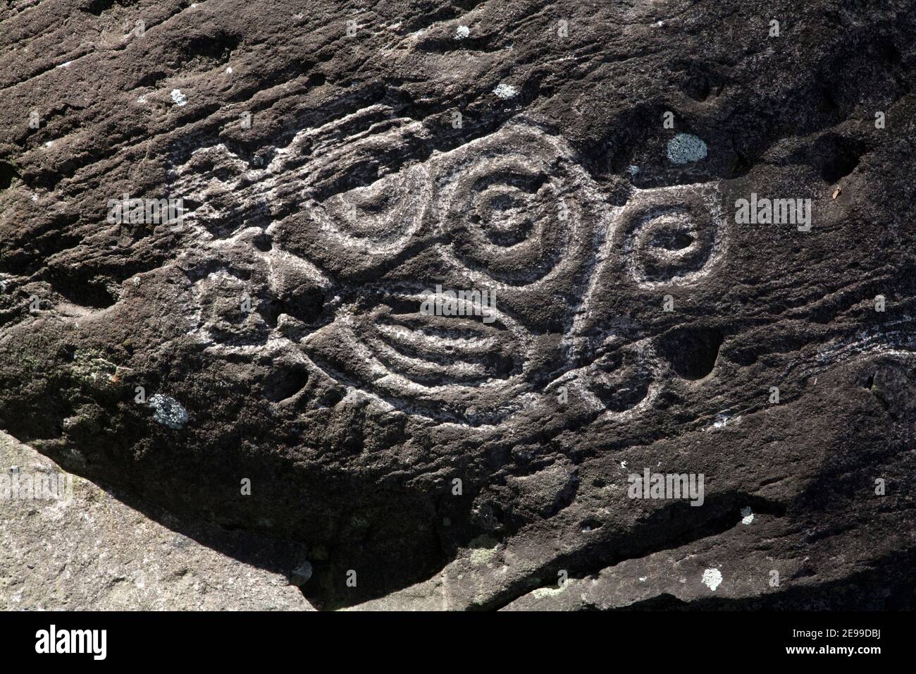 amerindian petroglyph gouyave bay grenada windward islands west indies Stock Photo