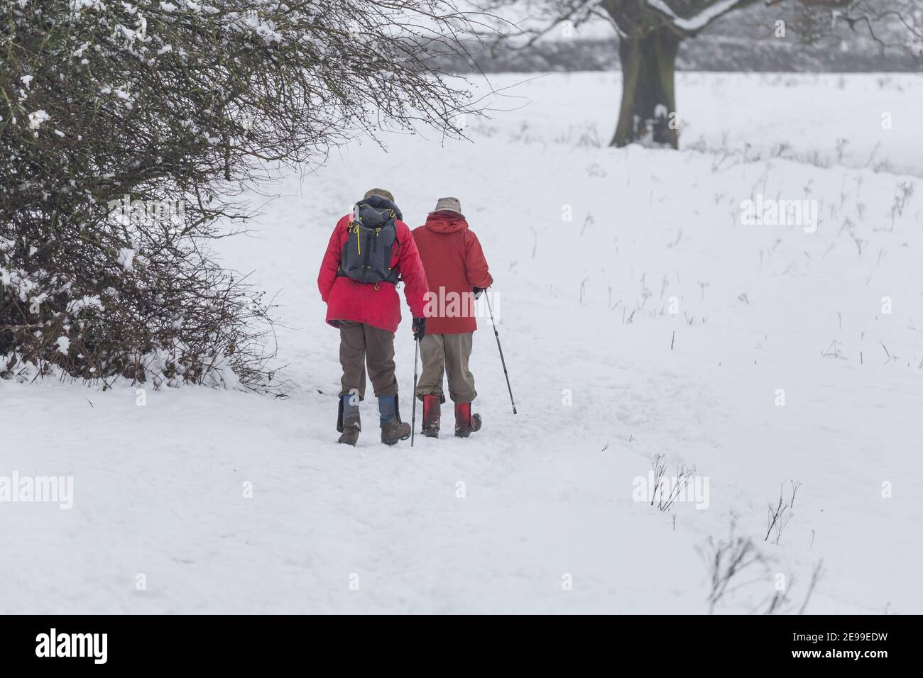 Two men walking in snow covered fields. Stock Photo