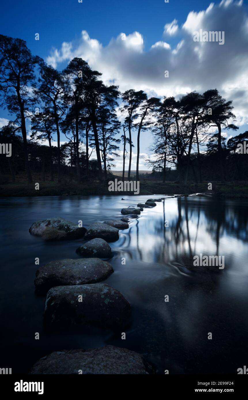 Stepping stones crossing the West Dart river. Scots Pines on the opposite bank. Dartmoor National Park. Devon. UK. Stock Photo