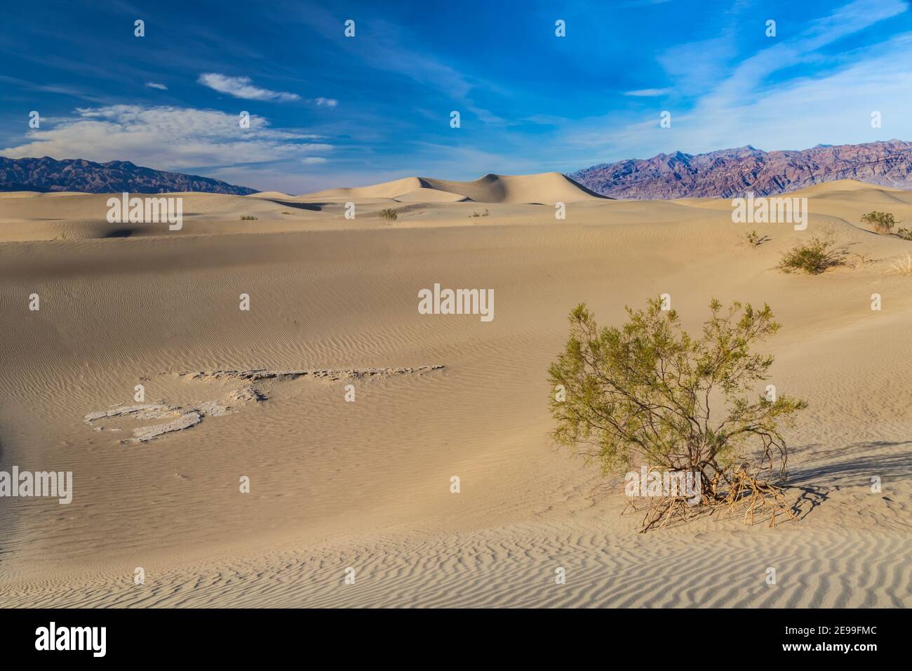 Valley of the shadow of death hi-res stock photography and images - Alamy