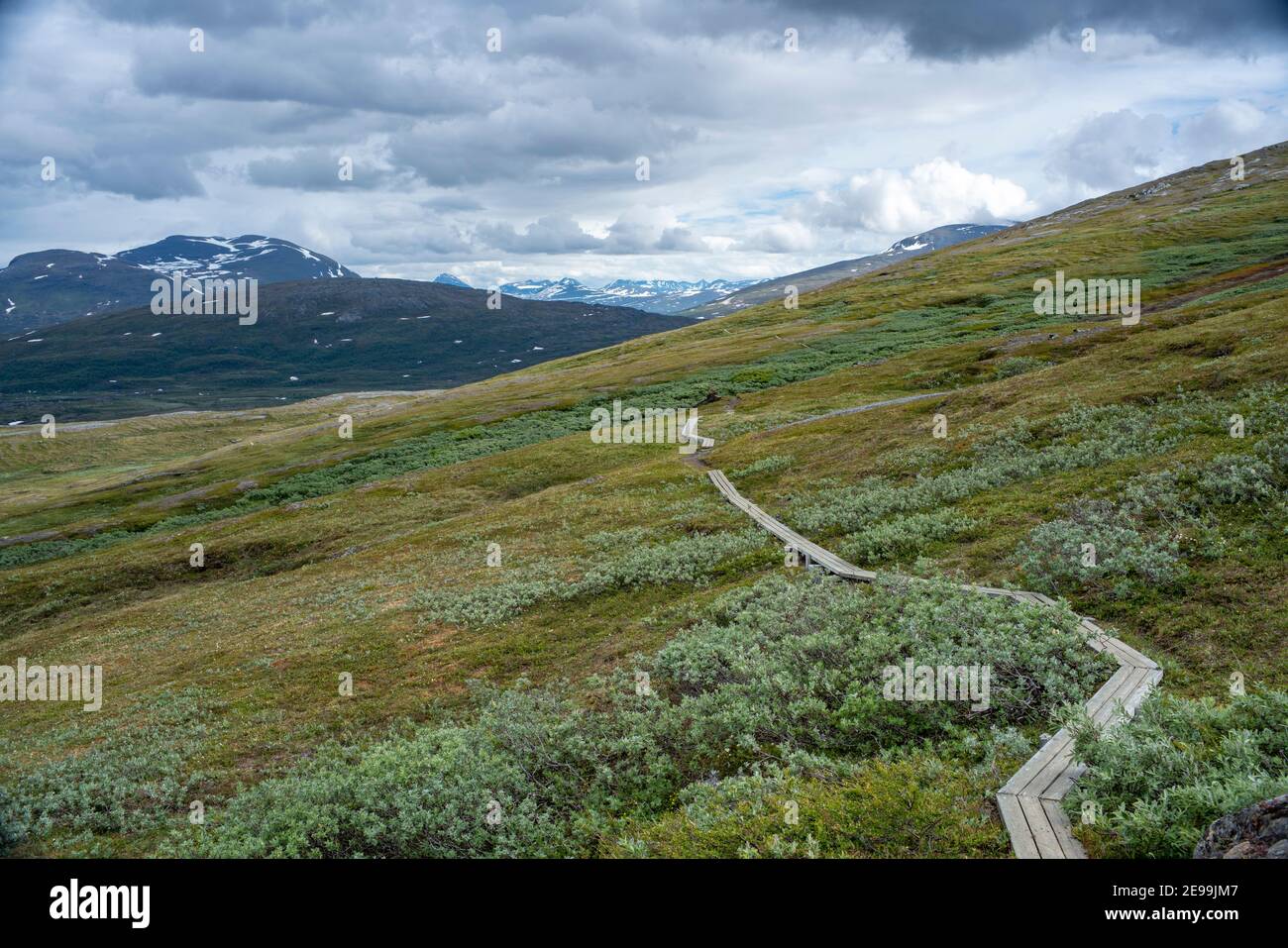 Padjelanta National Park with Wet Hiking Trail leading away from Camera  Stock Photo