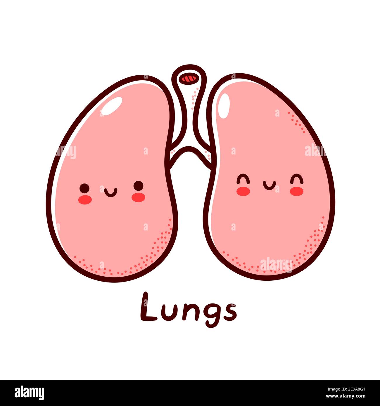 Cute happy funny human lungs organ character. Vector flat line cartoon kawaii character illustration icon. Isolated on white background. Lungs with face character mascot concept Stock Vector Image & Art - Alamy Cute happy funny human lungs organ character. Vector flat line cartoon kawaii character illustration icon. Isolated on white background. Lungs with face character mascot concept Stock Vector Image & Art - Alamy