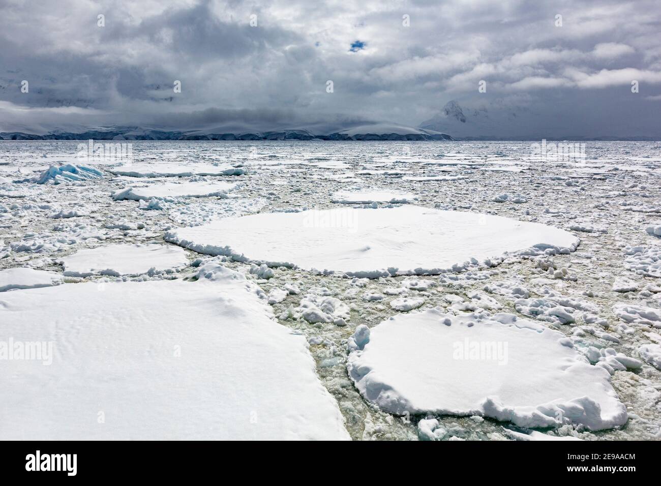 Snowcovered mountains and dense sea ice in Neumayer Channel, Palmer