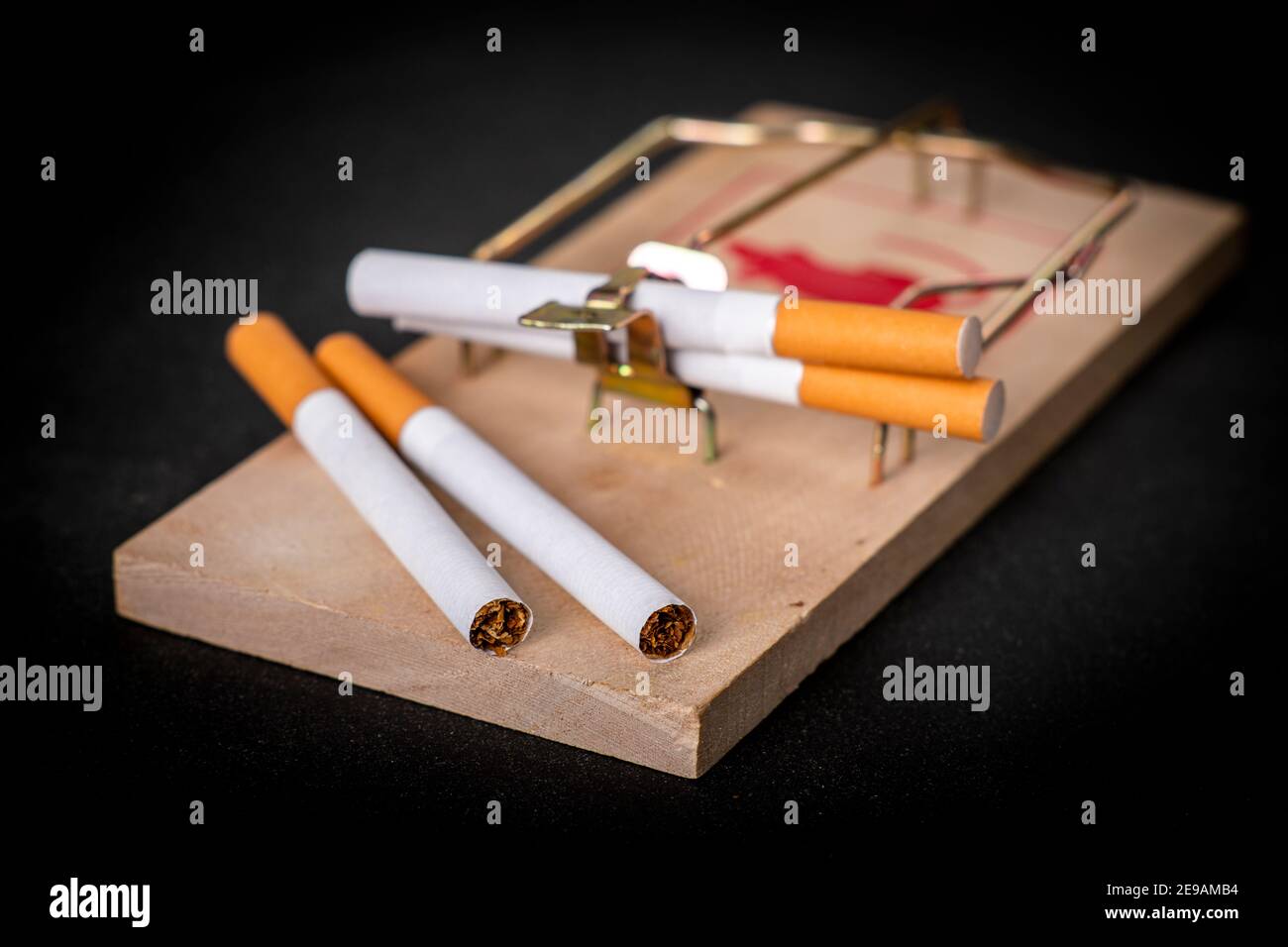 e cigarettes harmful effects The Dangerous Truth Behind E-Cigarettes