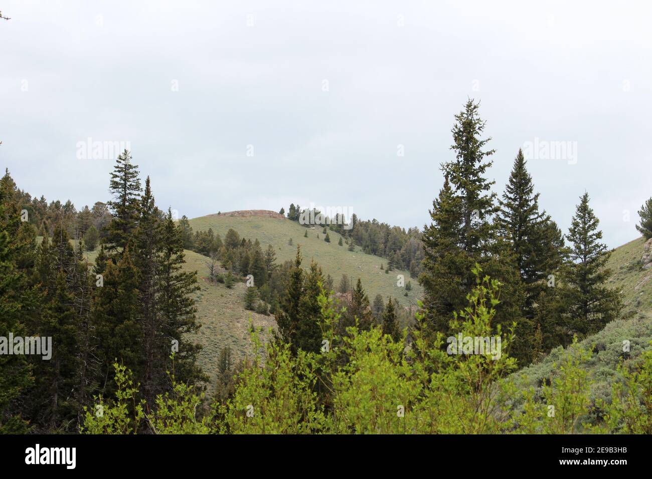 Beautiful Montana scenery (Lima, Montana Stock Photo Alamy