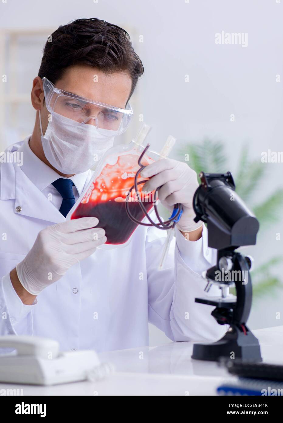 The doctor working with blood samples in hospital clinic lab Stock Photo