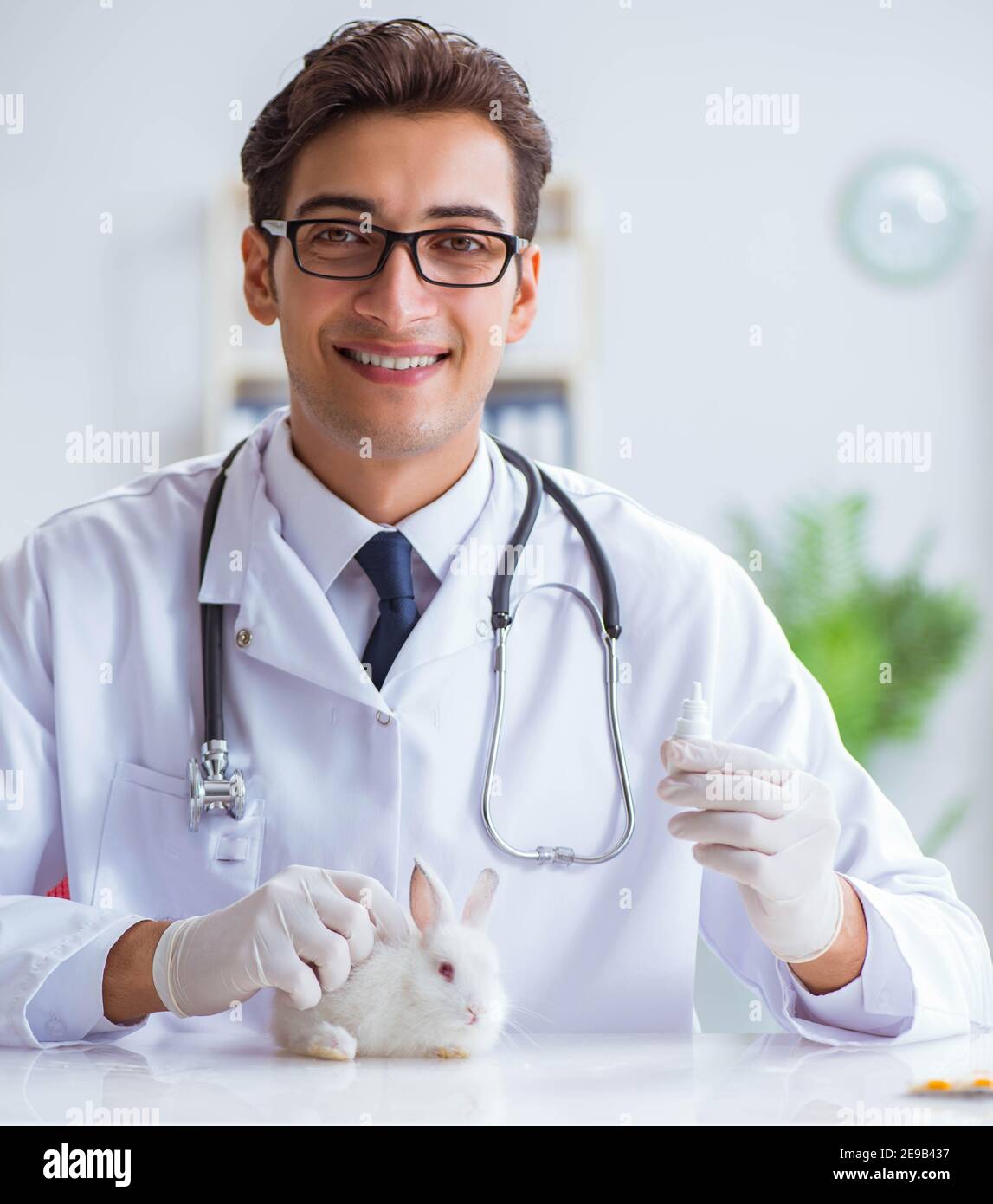 The vet doctor examining rabbit in pet hospital Stock Photo Alamy