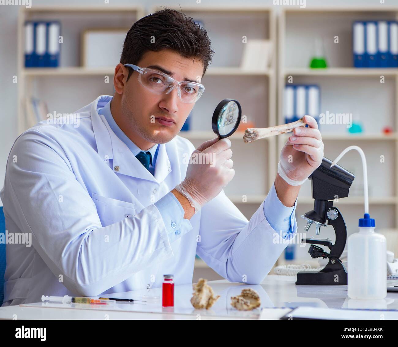 The paleontologist looking at extinct animal bone Stock Photo Alamy